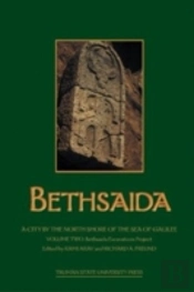 Bethsaida: A City By The North Shore Of The Sea Of Galilee, Vol. 2