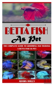 Betta Fish As Pet