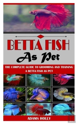 Bertrand.pt - Betta Fish As Pet