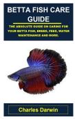 Betta Fish Care Guide