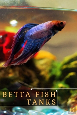 Bertrand.pt - Betta Fish Tanks