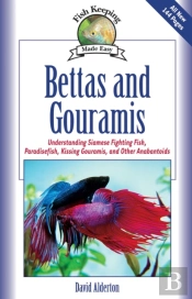 Bettas And Gouramis
