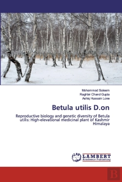Bertrand.pt - Betula Utilis D.On