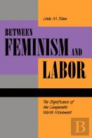 Between Feminism And Labor