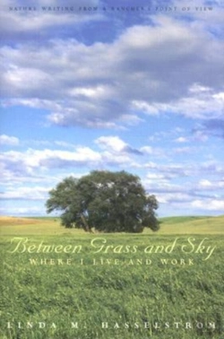 Bertrand.pt - Between Grass And Sky