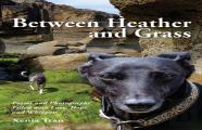 Between Heather And Grass