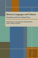 Between Languages And Cultures