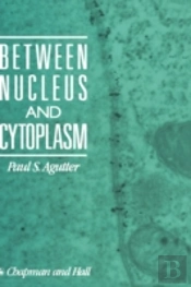 Between Nucleus And Cytoplasm