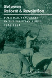 Between Reform And Revolution