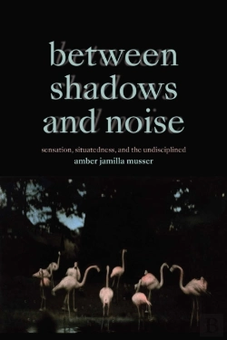 Bertrand.pt - Between Shadows And Noise