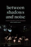 Between Shadows And Noise