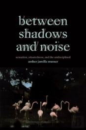 Between Shadows And Noise