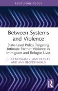 Between Systems And Violence