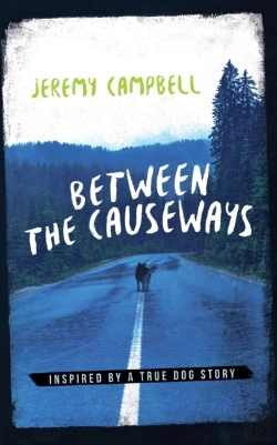 Bertrand.pt - Between The Causeways