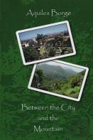 Between The Mountain And The City
