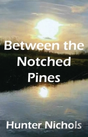 Between The Notched Pines