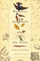 Between The Rocks And The Stars