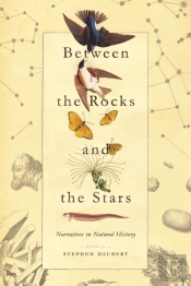 Between The Rocks And The Stars