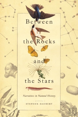 Bertrand.pt - Between The Rocks And The Stars