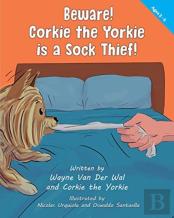 Beware! Corkie The Yorkie Is A Sock Thief!