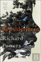 Bewilderment