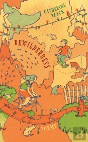 Bewilderness
