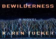 Bewilderness