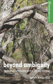 Beyond Ambiguity