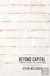 Beyond Capital