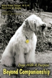Beyond Companionship