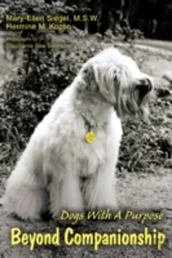 Bertrand.pt - Beyond Companionship