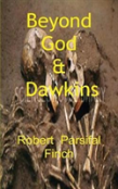 Beyond God And Dawkins