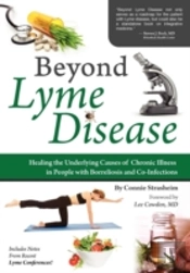 Beyond Lyme Disease: Healing The Underly