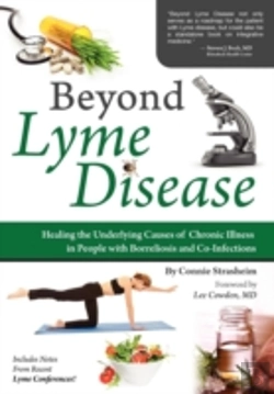 Bertrand.pt - Beyond Lyme Disease: Healing The Underly