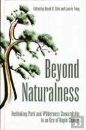 Beyond Naturalness