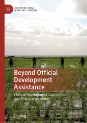 Beyond Official Development Assistance