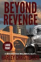 Beyond Revenge