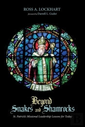 Beyond Snakes And Shamrocks