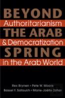 Beyond The Arab Spring