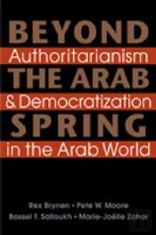 Beyond The Arab Spring