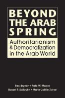 Beyond The Arab Spring