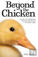 Beyond The Chicken