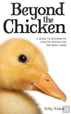 Bertrand.pt - Beyond The Chicken