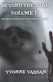 Beyond The Dark                                      Horror Stories To Keep You Awake At Night                         Volume I