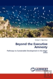 Beyond The Executive Amnesty