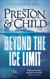 Beyond The Ice Limit