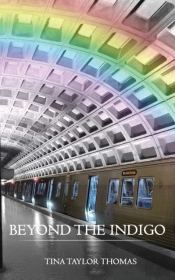 Beyond The Indigo