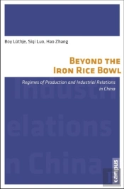 Beyond The Iron Rice Bowl