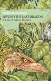 Beyond The Last Dragon