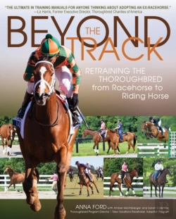 Bertrand.pt - Beyond The Track